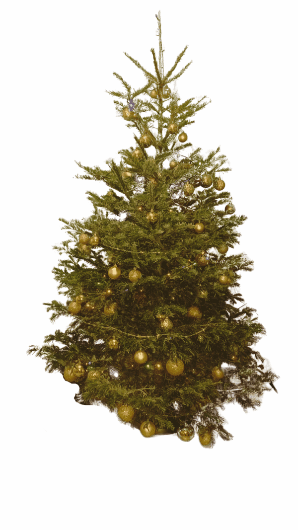 Kinderkerstcadeautjes